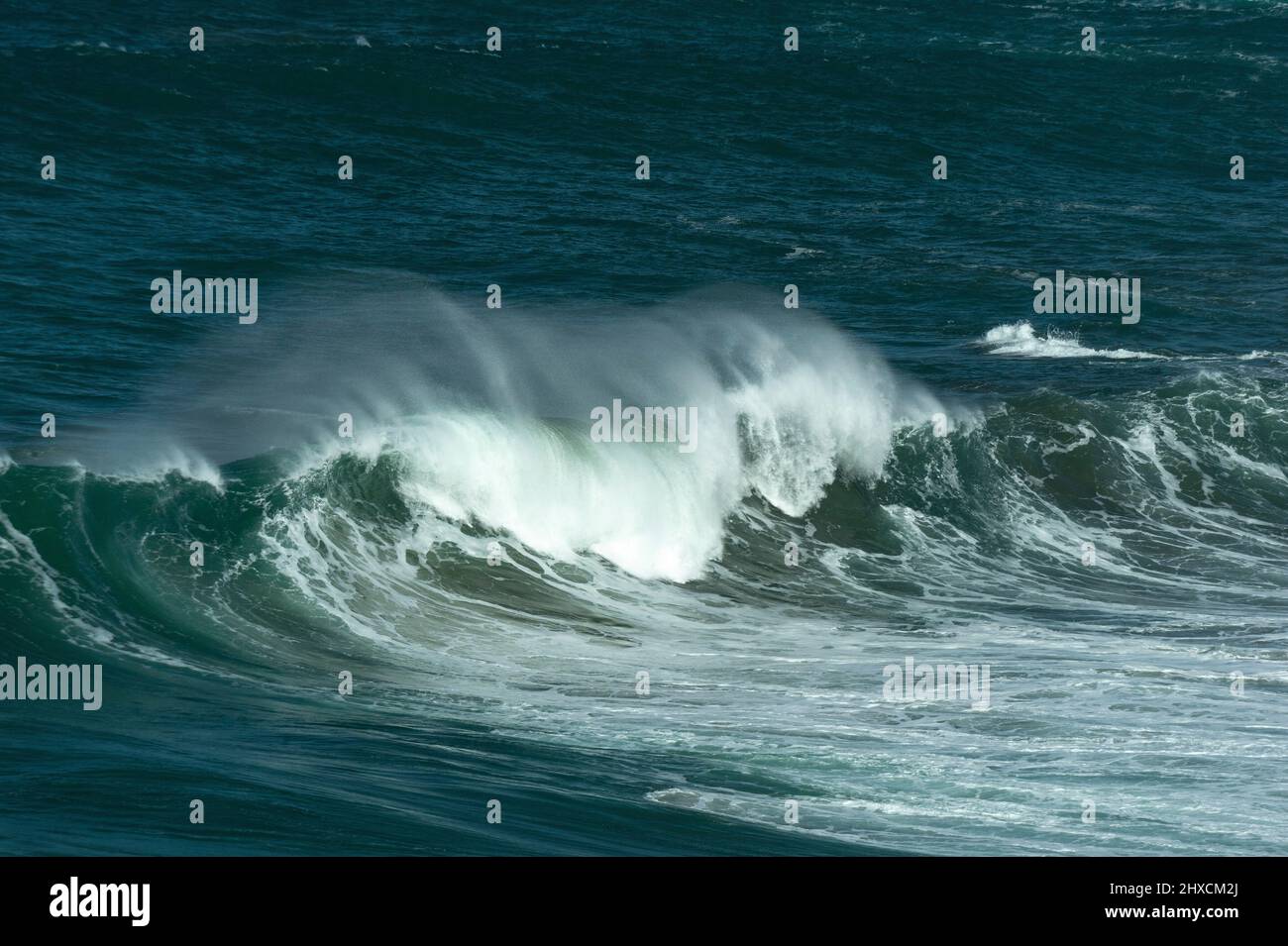 A big wave breaks on the shore of the Pacific Ocean, Monterey, California, USA Stock Photo