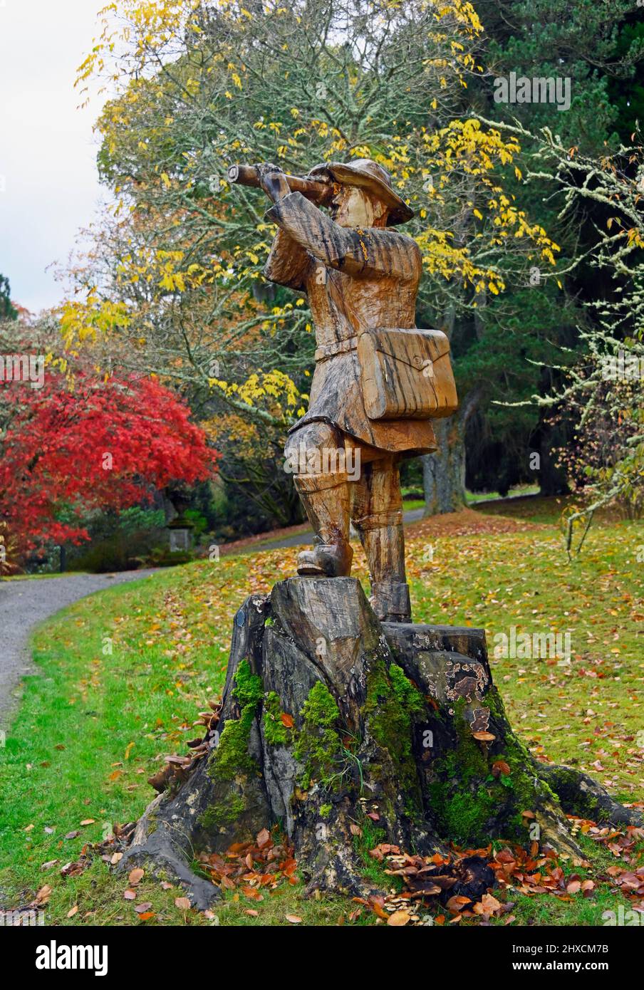 Statue of David Douglas by Rodney Holland. Dawyck Botanic Gardens, Stobo,  Scottish Borders, Scotland, United Kingdom, Europe. Stock Photo
