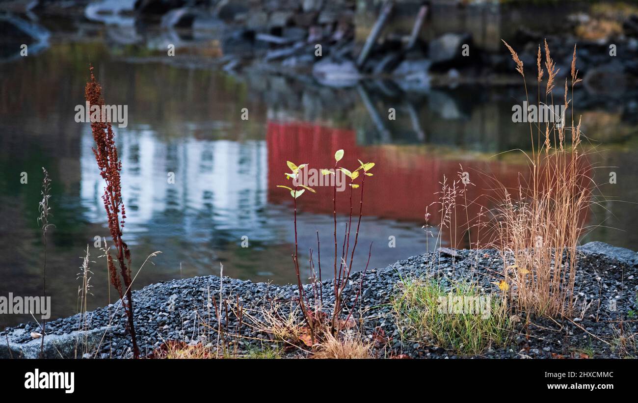 In the fishing village of Senjahopen Stock Photo Alamy