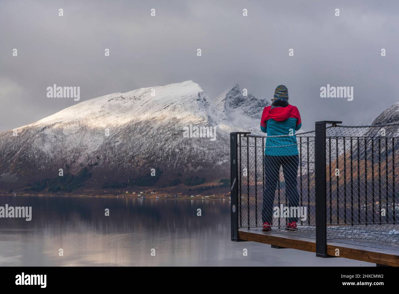 View from Bergsbotn observation platform, panorama over Bergsfjord and Skaland village, woman on platform, back view, Stock Photo