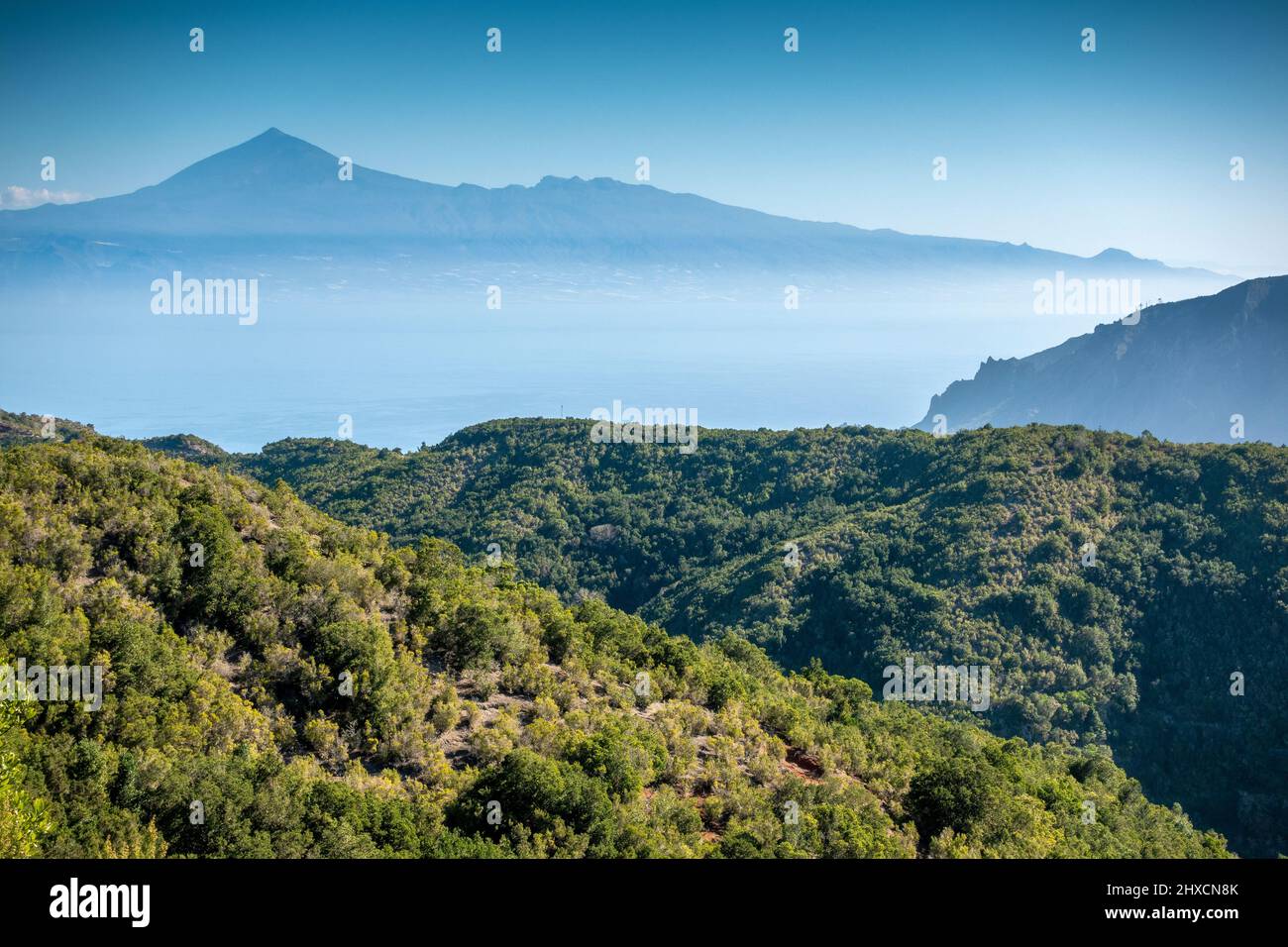 The ancient dense forests on the island of La Gomera  with Mount Teide volcano on Tenerife in the distance in the Canary Islands, Spain Stock Photo