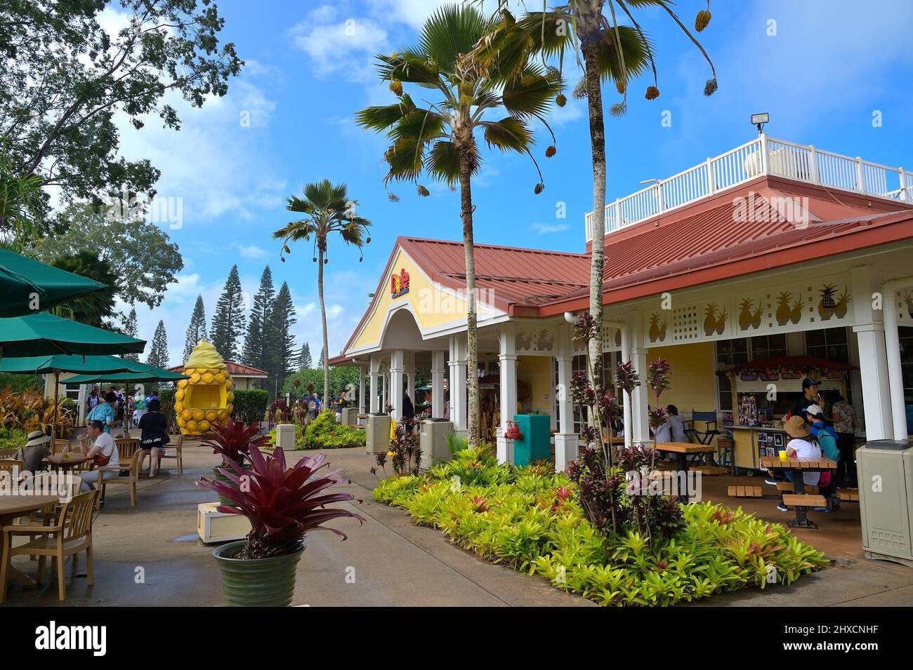 The historic pineapple plantation of Dole plc in the village of Wahiawa, Oahu HI Stock Photo