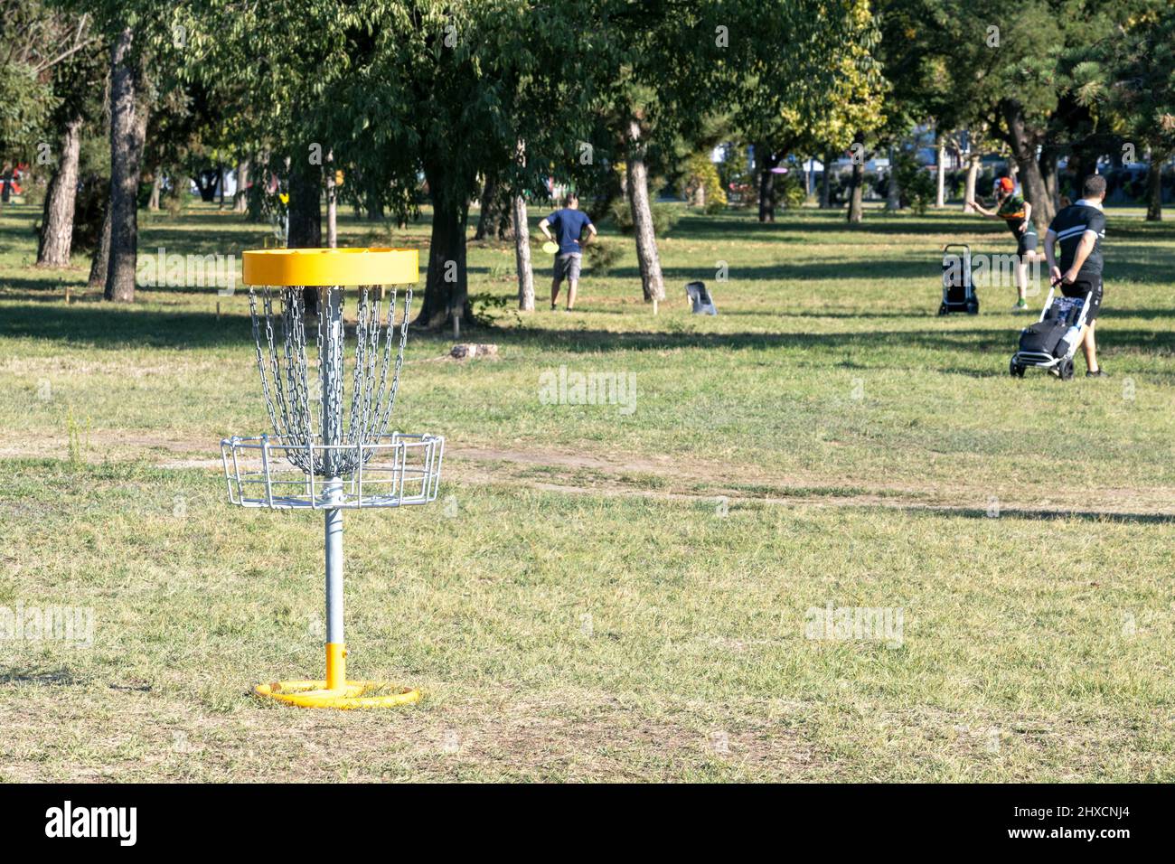 People playing flying disc golf sport game in the nature Stock Photo ...