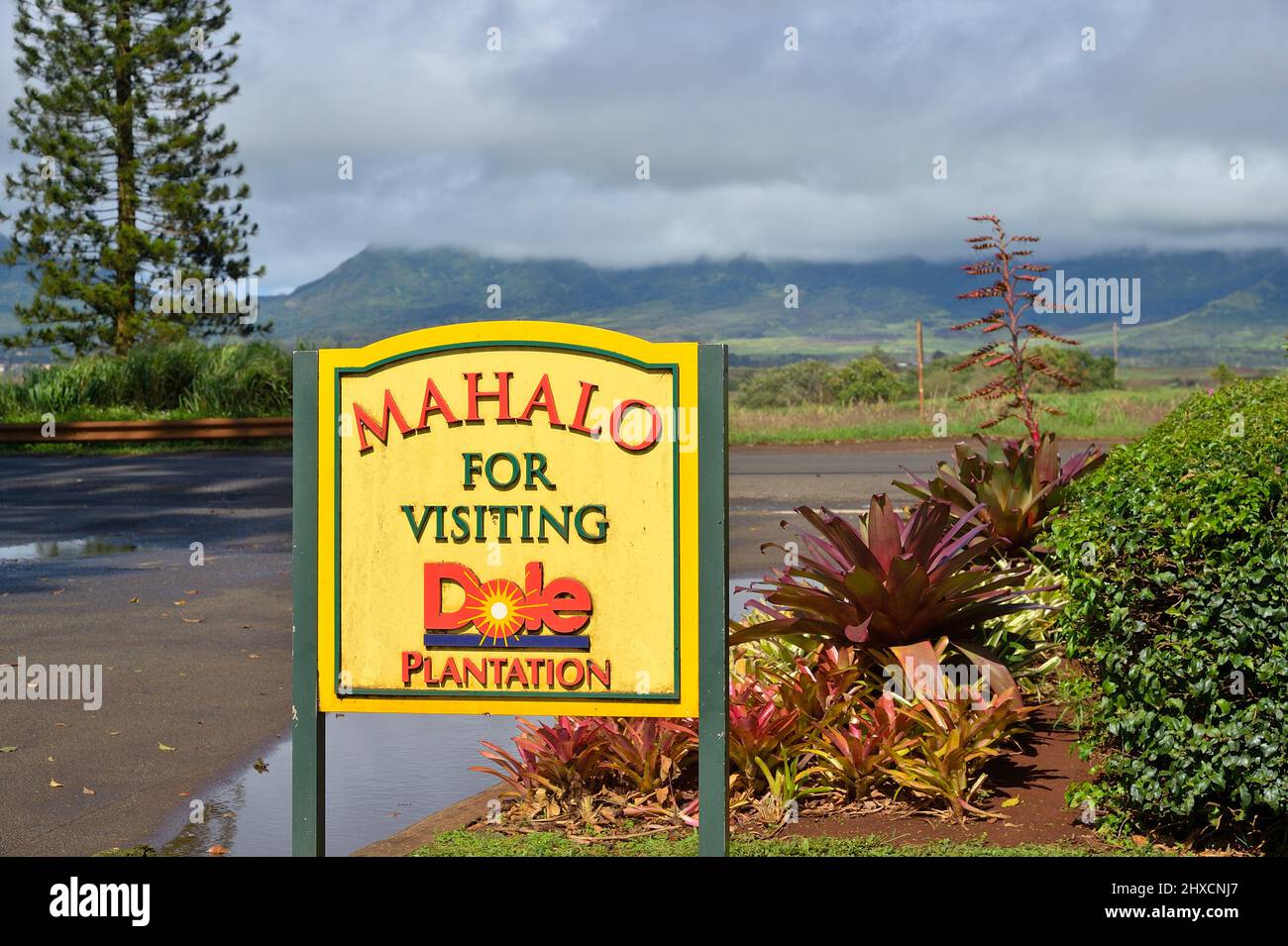 The historic pineapple plantation of Dole plc in the village of Wahiawa ...