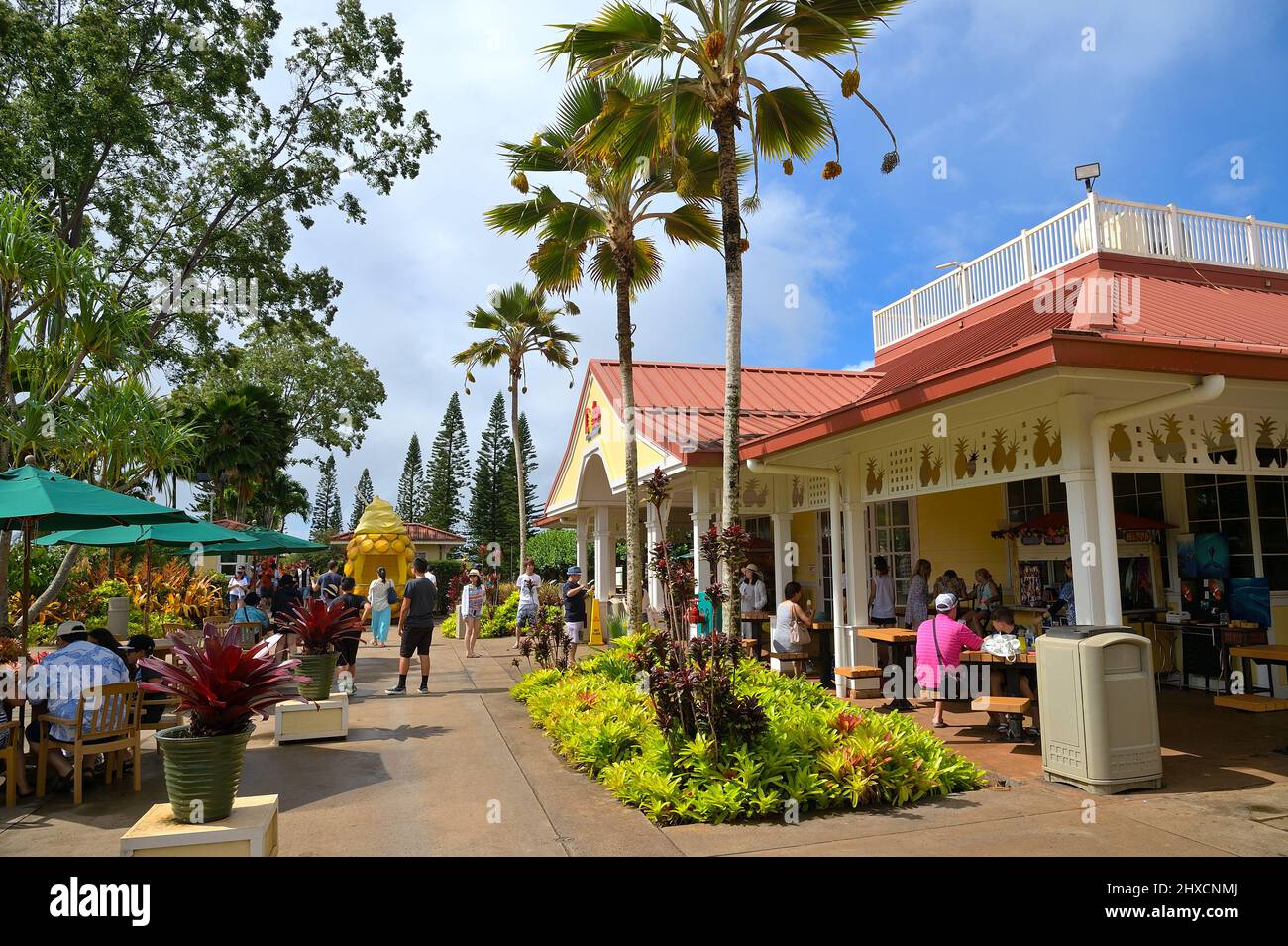 The historic Dole pineapple plantation in Wahiawa, Oahu HI Stock Photo
