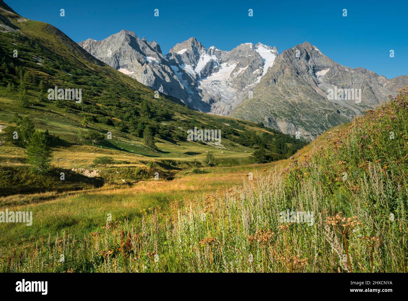 La Meije of the Col du Lautaret, Rhones Alpes, Hautes-Alpes, France Stock Photo