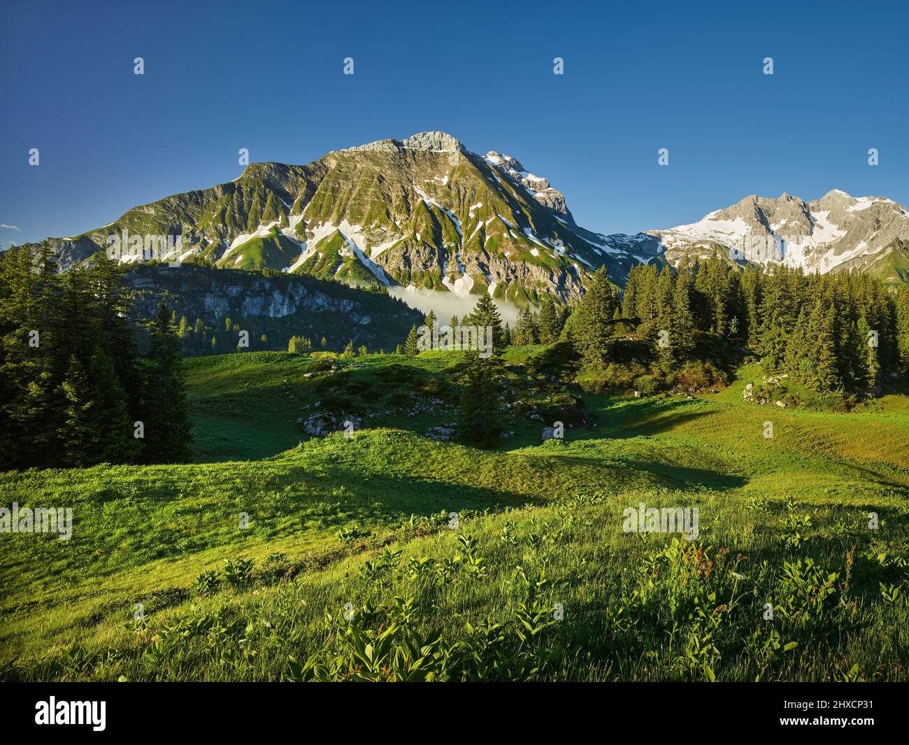 Juppenspitze, Braunarlspitze, Lechquellengebirge, Vorarlberg, Austria Stock Photo
