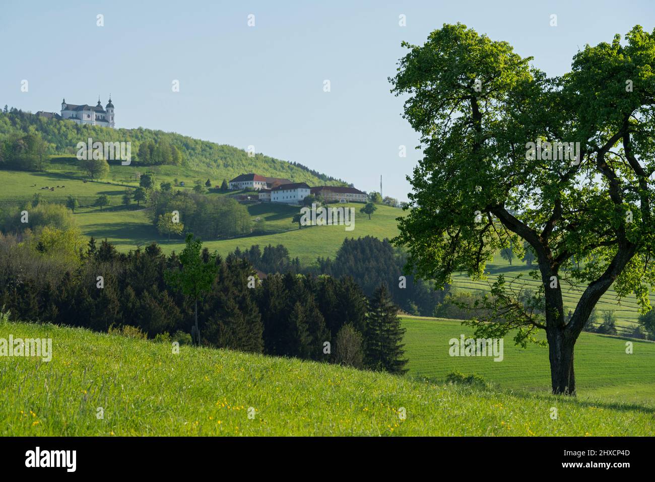 Basilica Sonntagberg, Upper Austria, Austria Stock Photo
