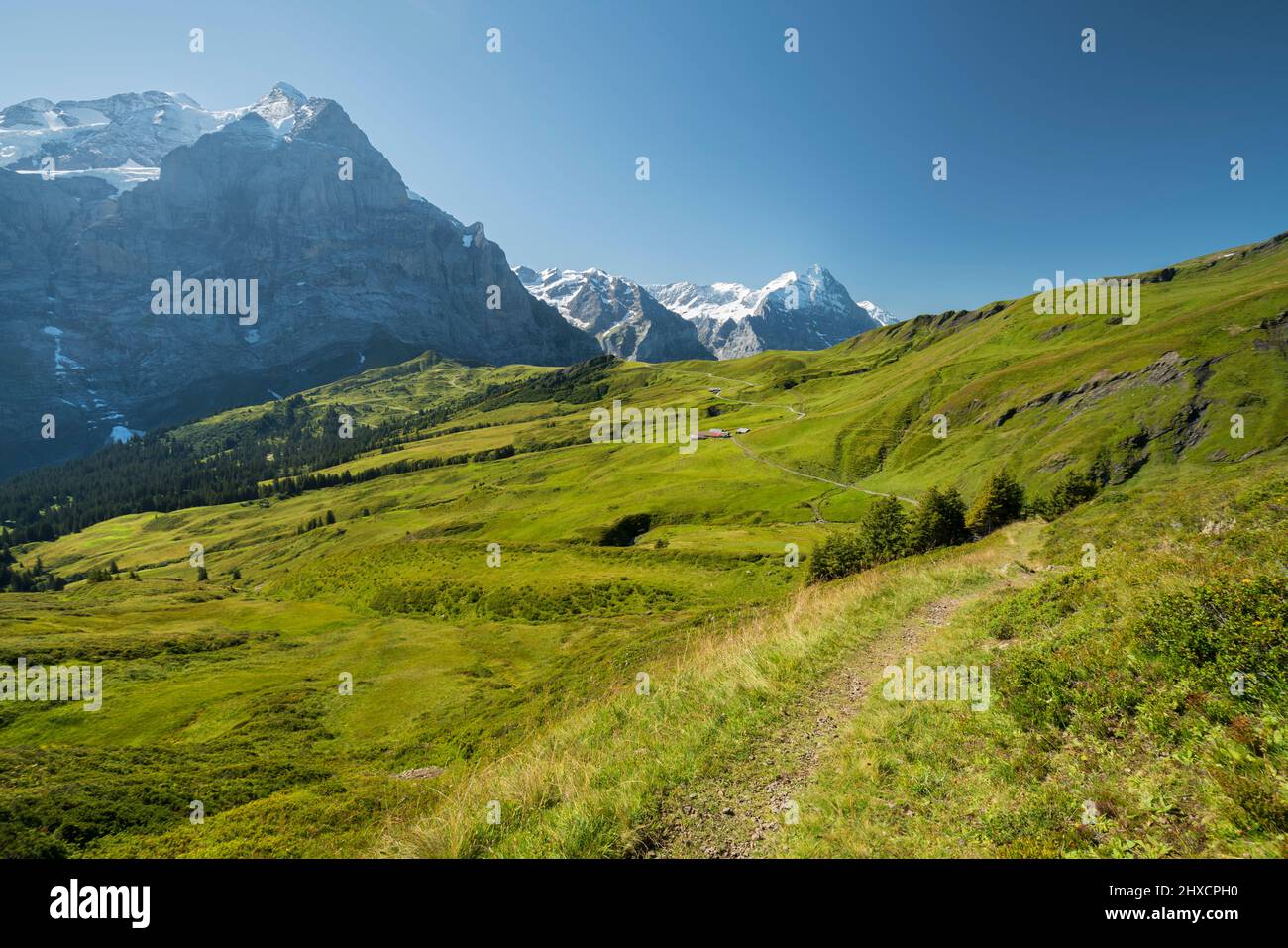 Alp Grindel, Grindelwald, Bernese Oberland, Switzerland Stock Photo