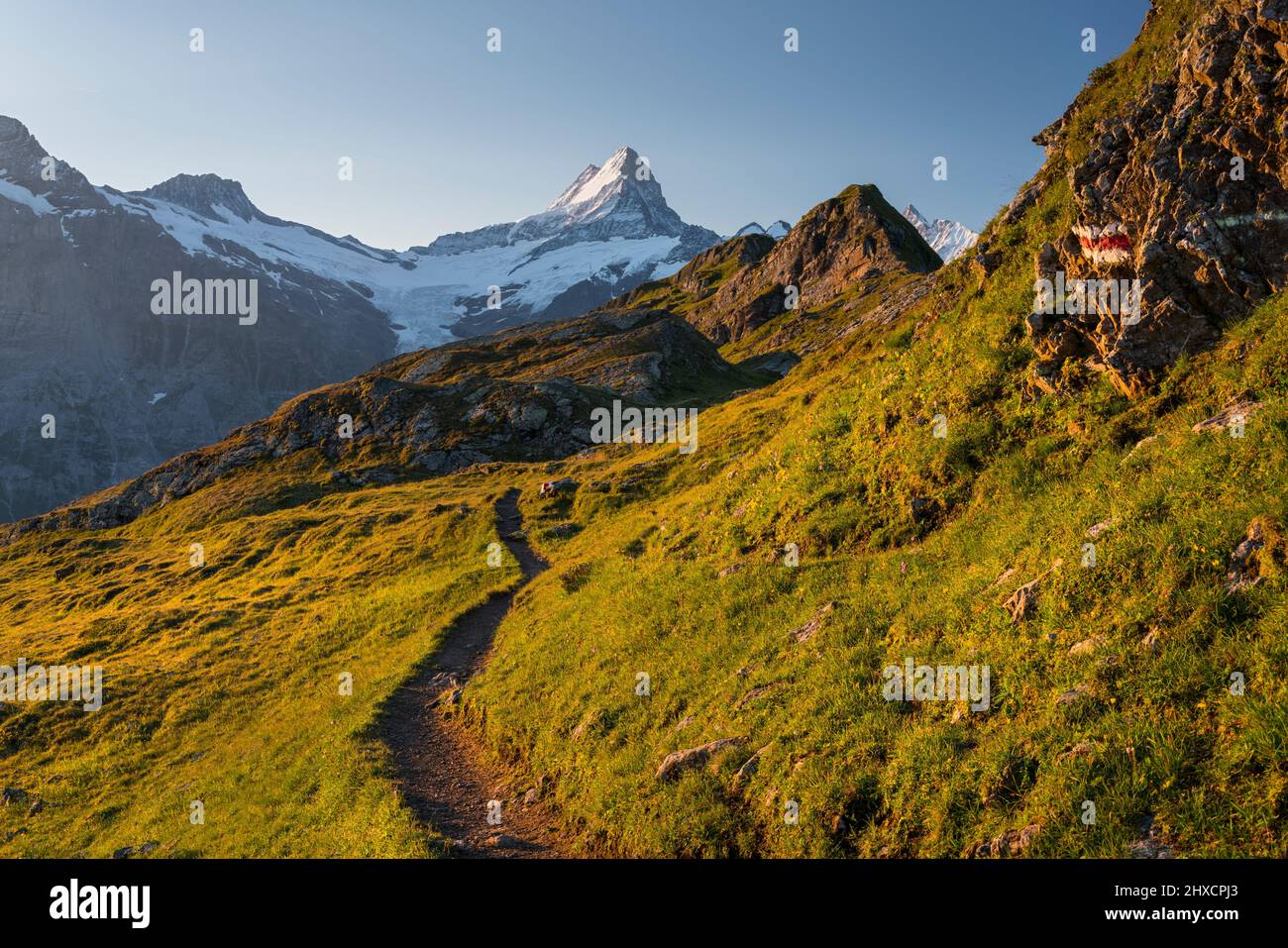 Peaks, Schreckhorn, Grindelwald, Bernese Oberland, Switzerland Stock Photo