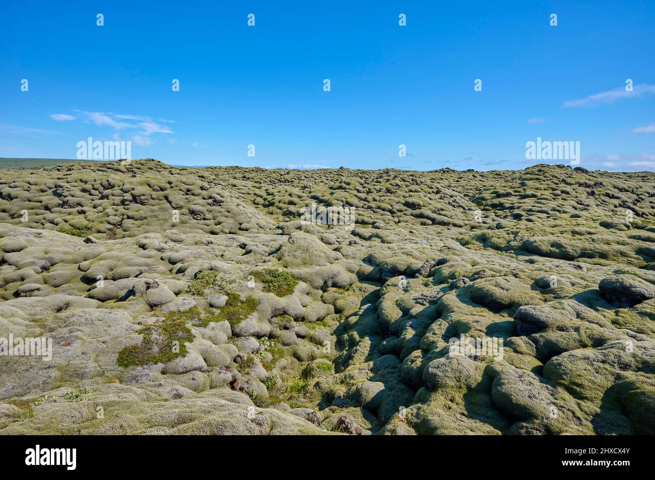 Lava, Moss, Summer, Eldhraun Lava Field, Kirkjubaejarklaustur, SuÃ°urnes, Sudurland, Iceland Stock Photo
