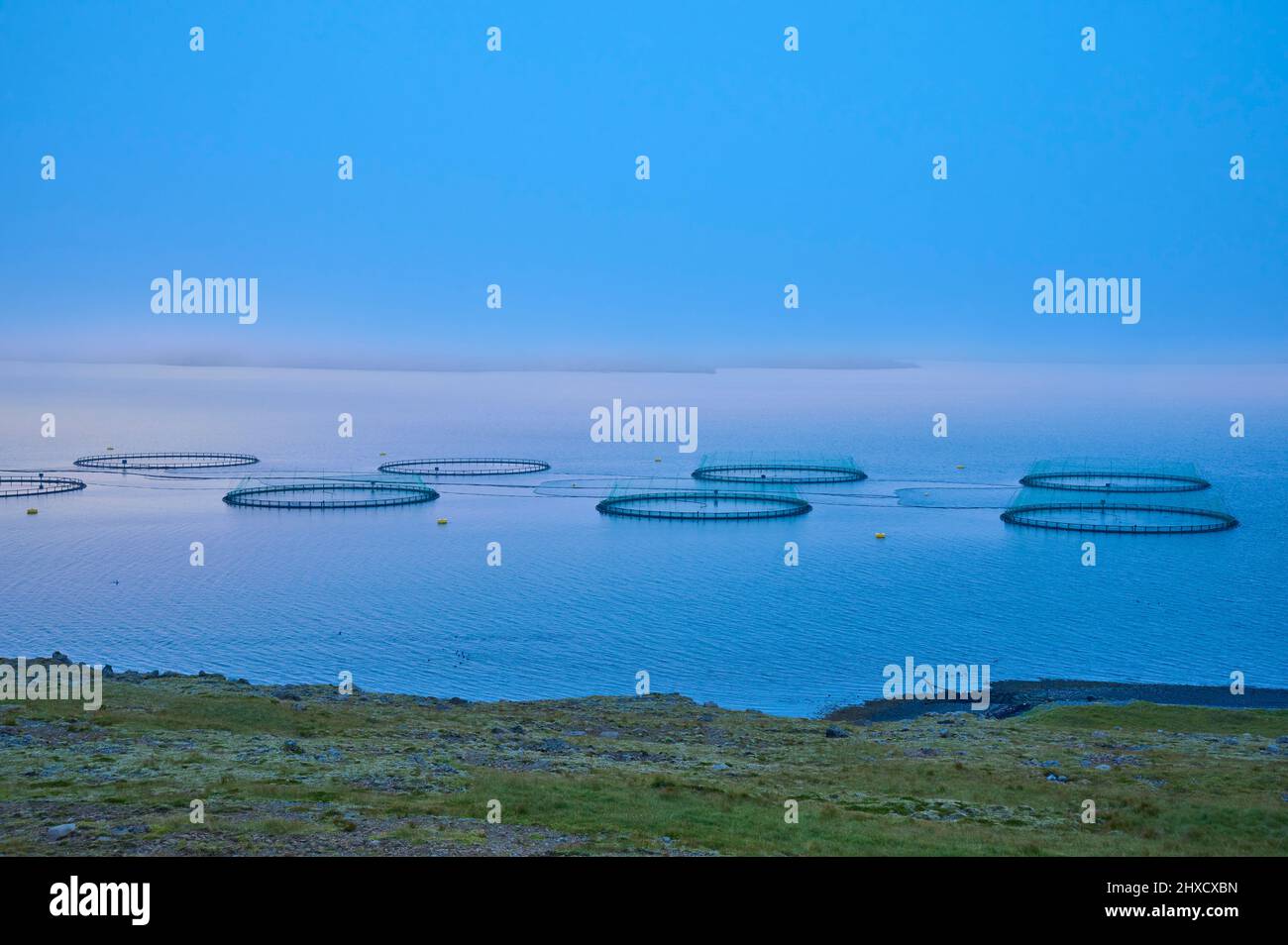 Aquakultur, Fischzucht, Meer, Wolken, Fjord, Sommer, Island Stock Photo