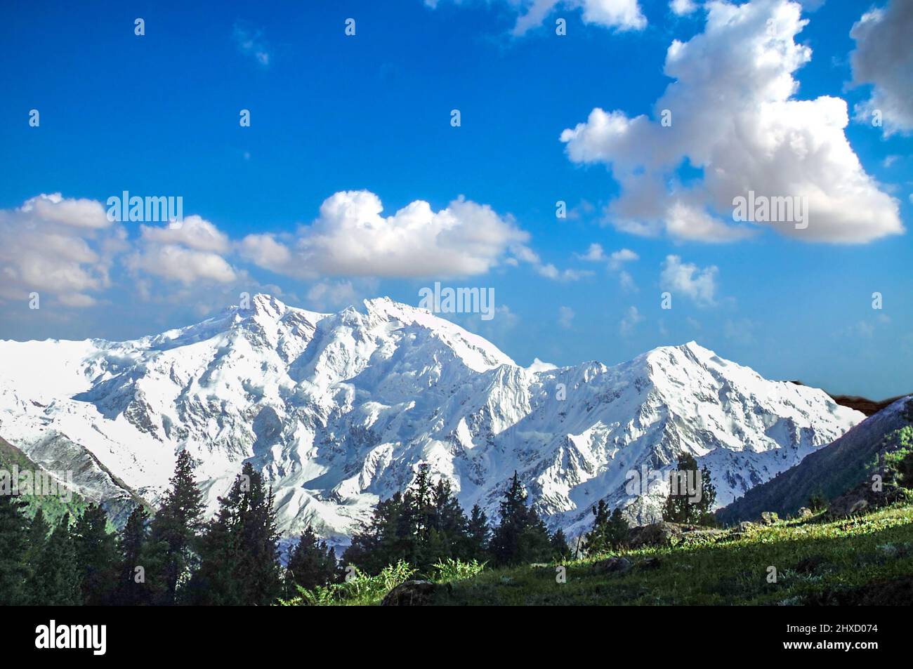 Fairy Meadows, named by German climbers and locally known as Joot, is a grassland near one of the base camp sites of the Nanga Parbat the killer peak Stock Photo