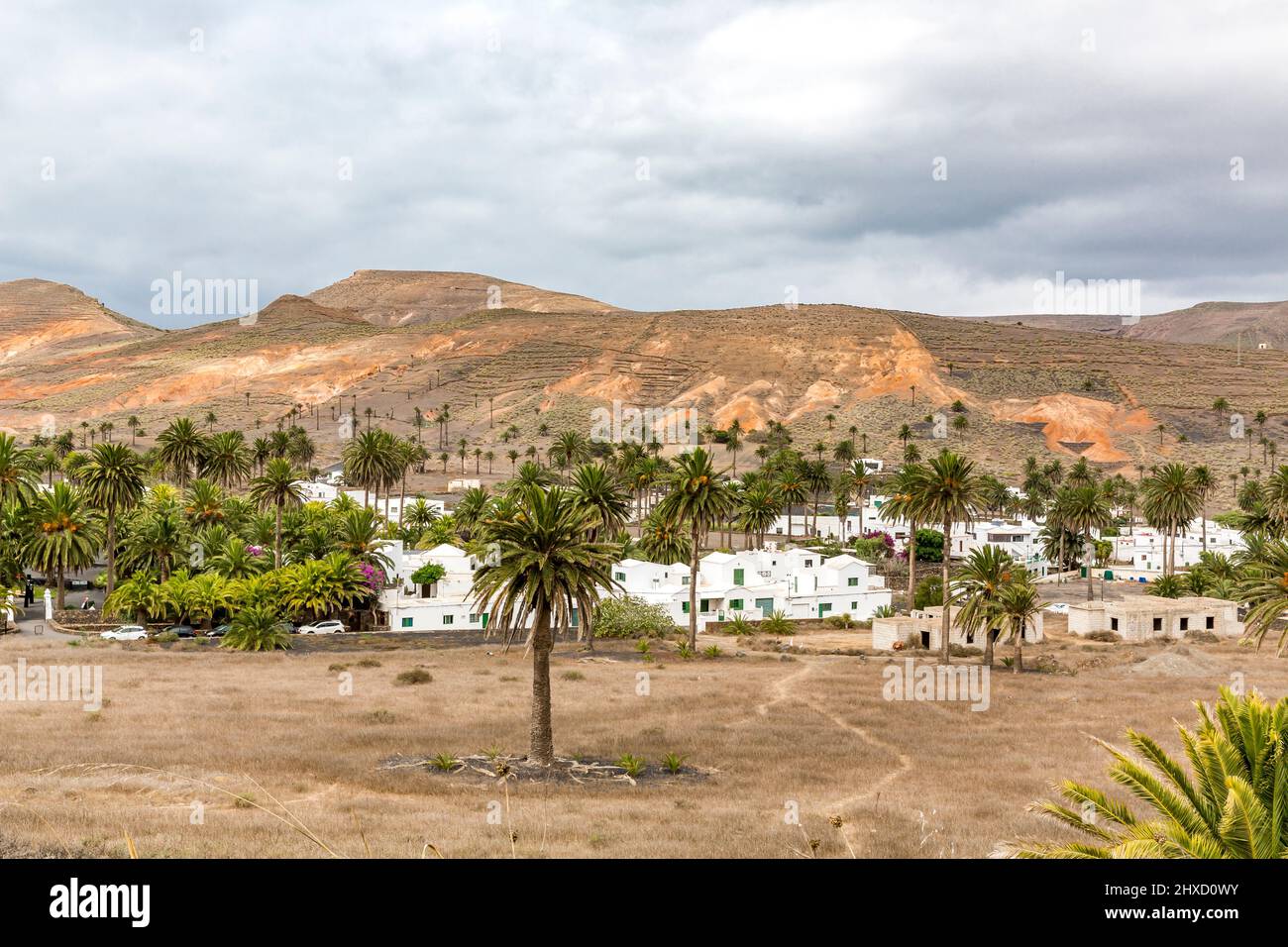 Haria, Valley of 1000 Palms, Lanzarote, Canary Islands, Spain, Europe Stock Photo