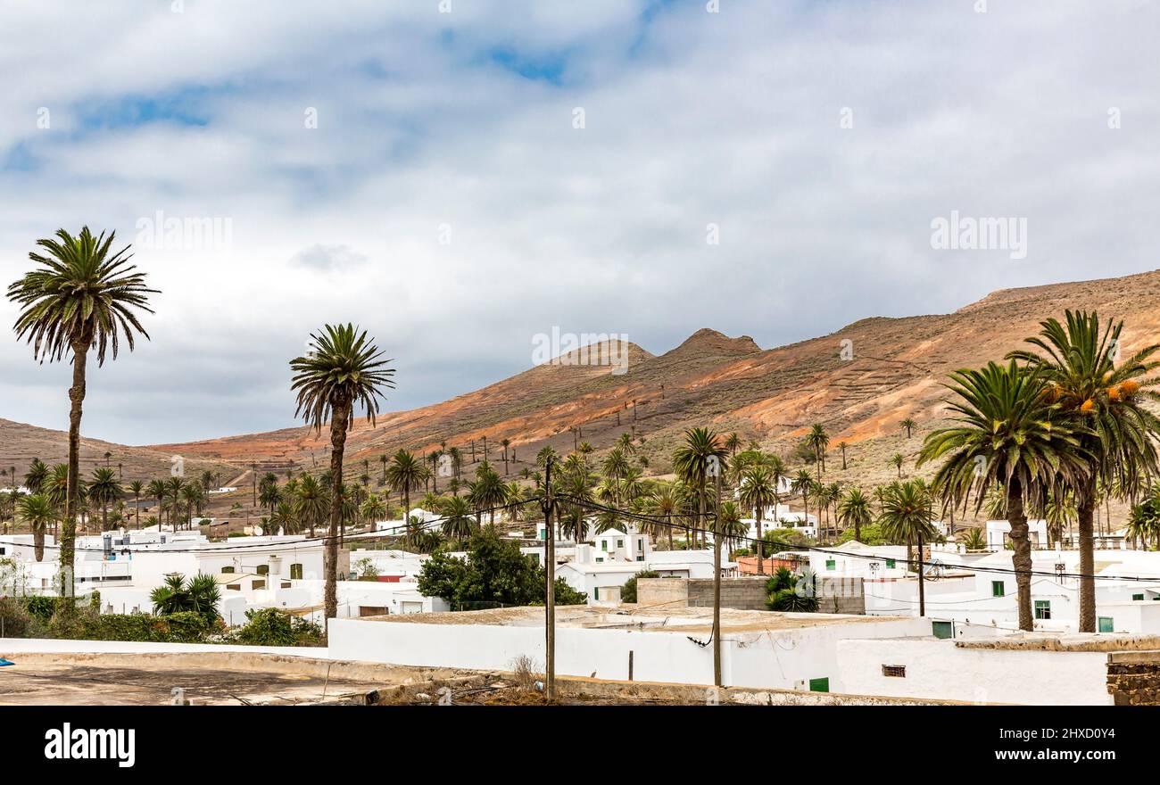 Haria, Valley of 1000 Palms, Lanzarote, Canary Islands, Spain, Europe Stock Photo