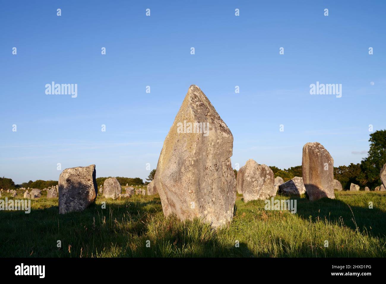 Megaliths, Alignements du Menec, Alignements of Carnac, Le Menec, Department of Morbihan, Brittany, France Stock Photo
