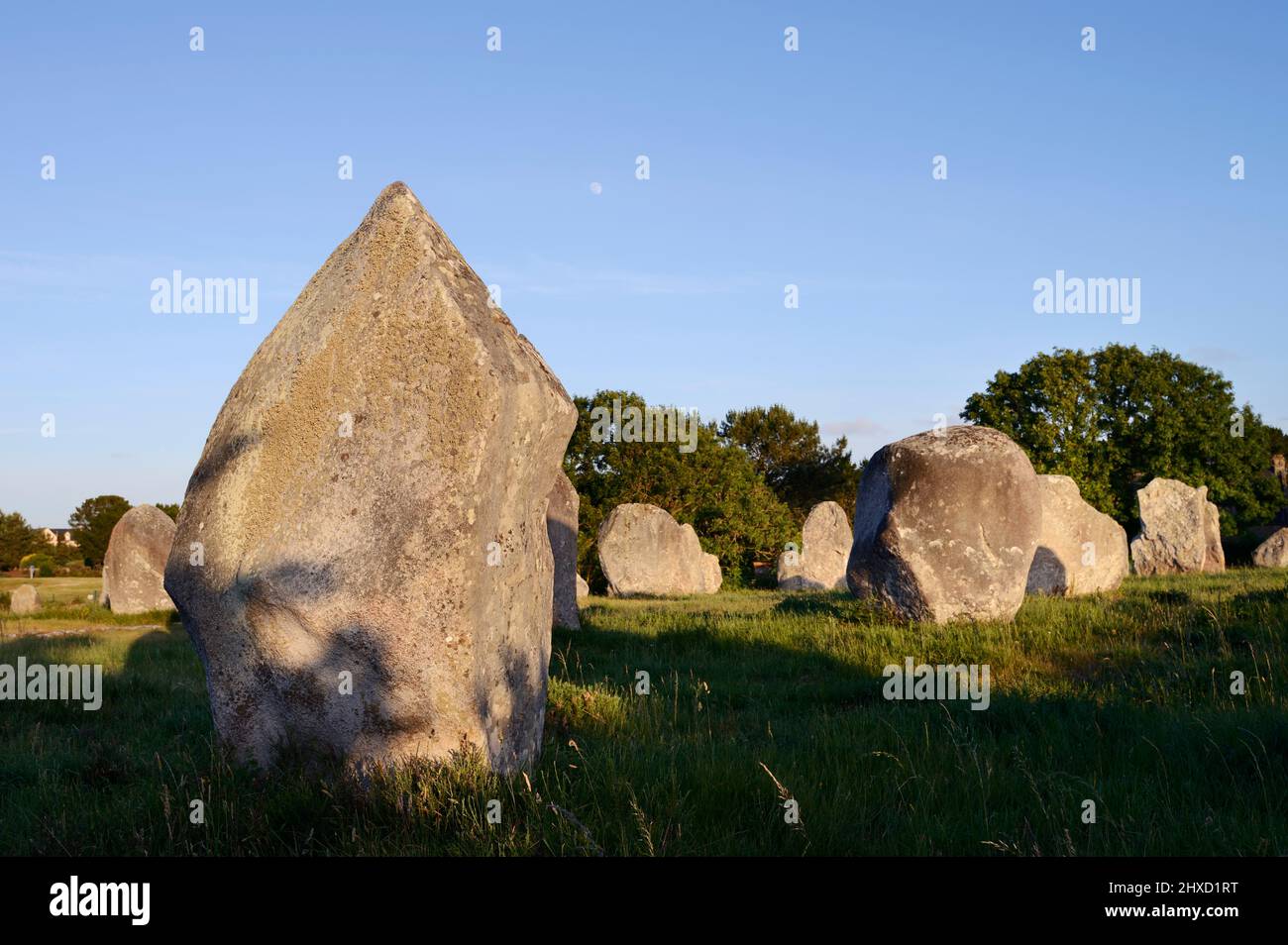 Megaliths, Alignements du Menec, Alignements of Carnac, Le Menec, Department of Morbihan, Brittany, France Stock Photo