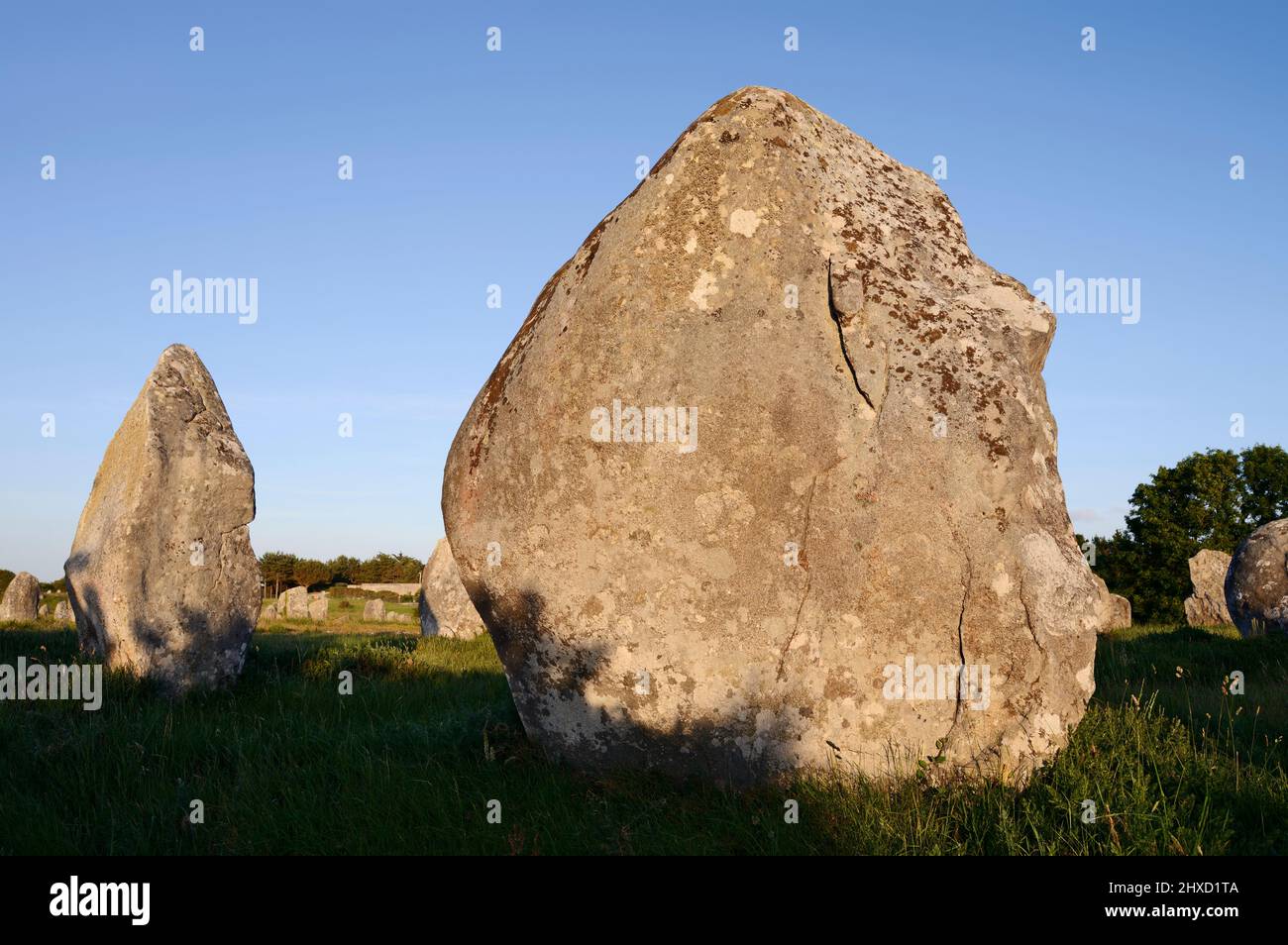 Megaliths, Alignements du Menec, Alignements of Carnac, Le Menec, Department of Morbihan, Brittany, France Stock Photo