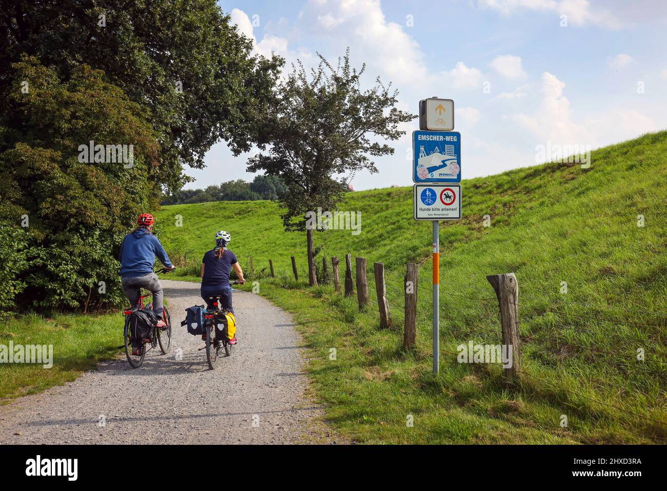 Cycling along the Emscher, Emscher conversion, Bottrop, North Rhine-Westphalia, Germany Stock Photo