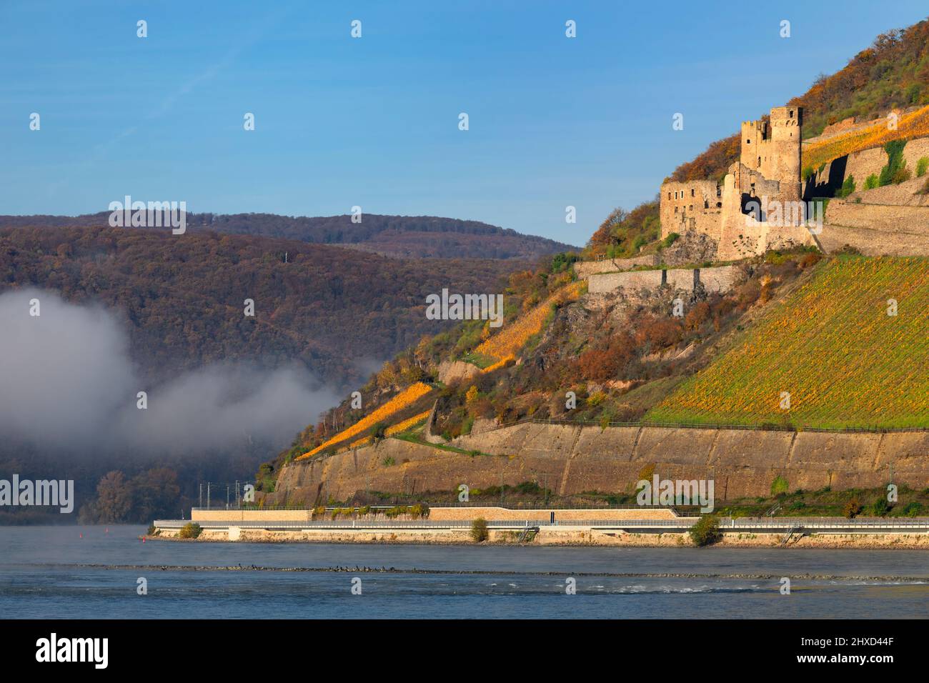 View over the Bingener Loch to the Ehrenfels castle ruin, Upper Middle Rhine Valley, Rhineland-Palatinate, Germany Stock Photo