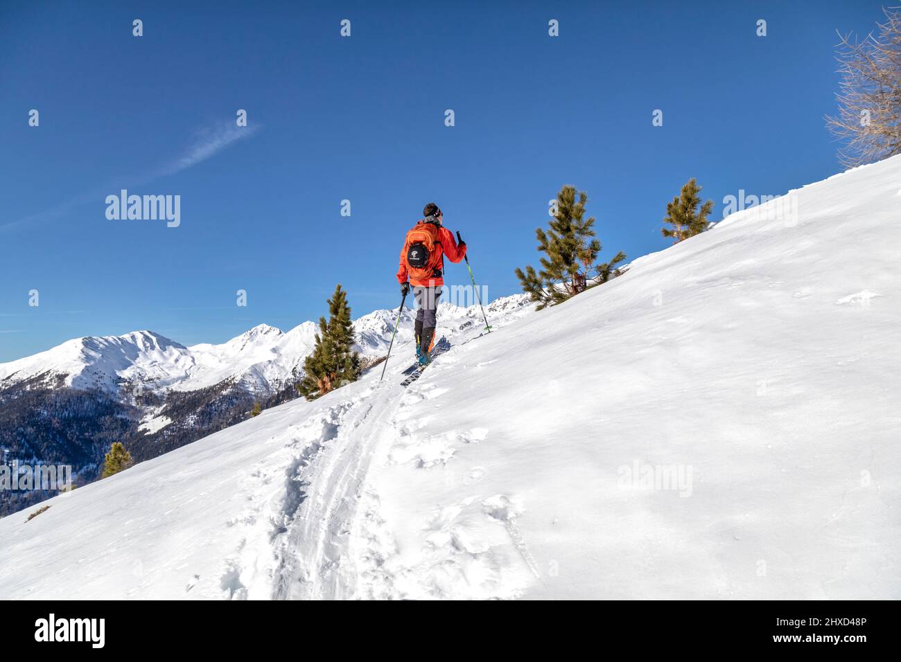 Europe, Italy, Alto Adige / Südtirol, province of Bolzano / Bozen, Casies valley / Gsiesertal, ski mountaineer uphill to Spielbühel, in the background the mountains of Villgraten (Hoher mann and Fellhorn) Stock Photo