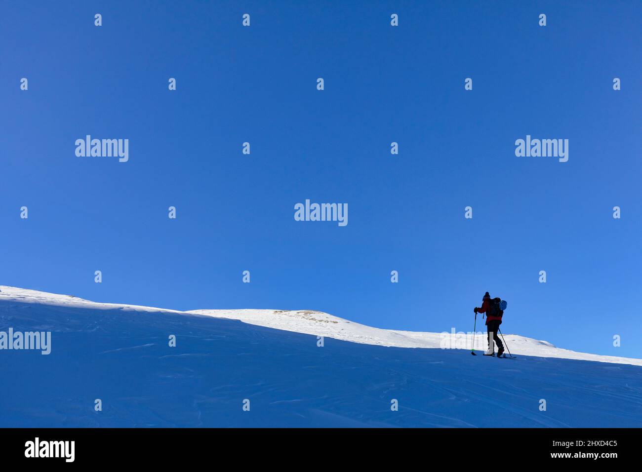 Europe, Italy, Veneto, Belluno province, silhouette of a ski mountaineer uphill along a slope Stock Photo