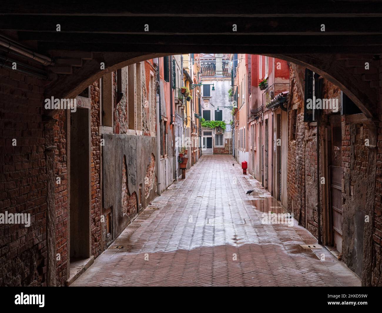 alley, street, tree line, house, passage, canal, river, island, La Serenissima, The Most Serene, historical center, centro storico, historical old town, old town, world heritage, UNESCO, world heritage monument, sight, historical site Stock Photo