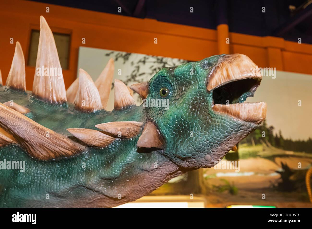 England, Isle of Wight, Sandown, Dinosaur Isle Museum, Model of a Anklosaurus Armoured Dinosaur Stock Photo