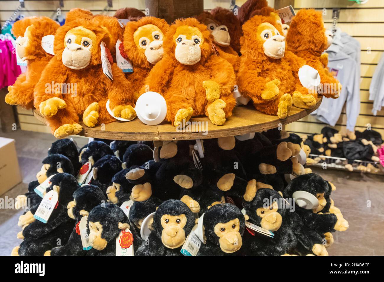 England, Dorset, Monkey World Attraction, Monkey Soft Toys for Sale in Souvenir Shop Stock Photo