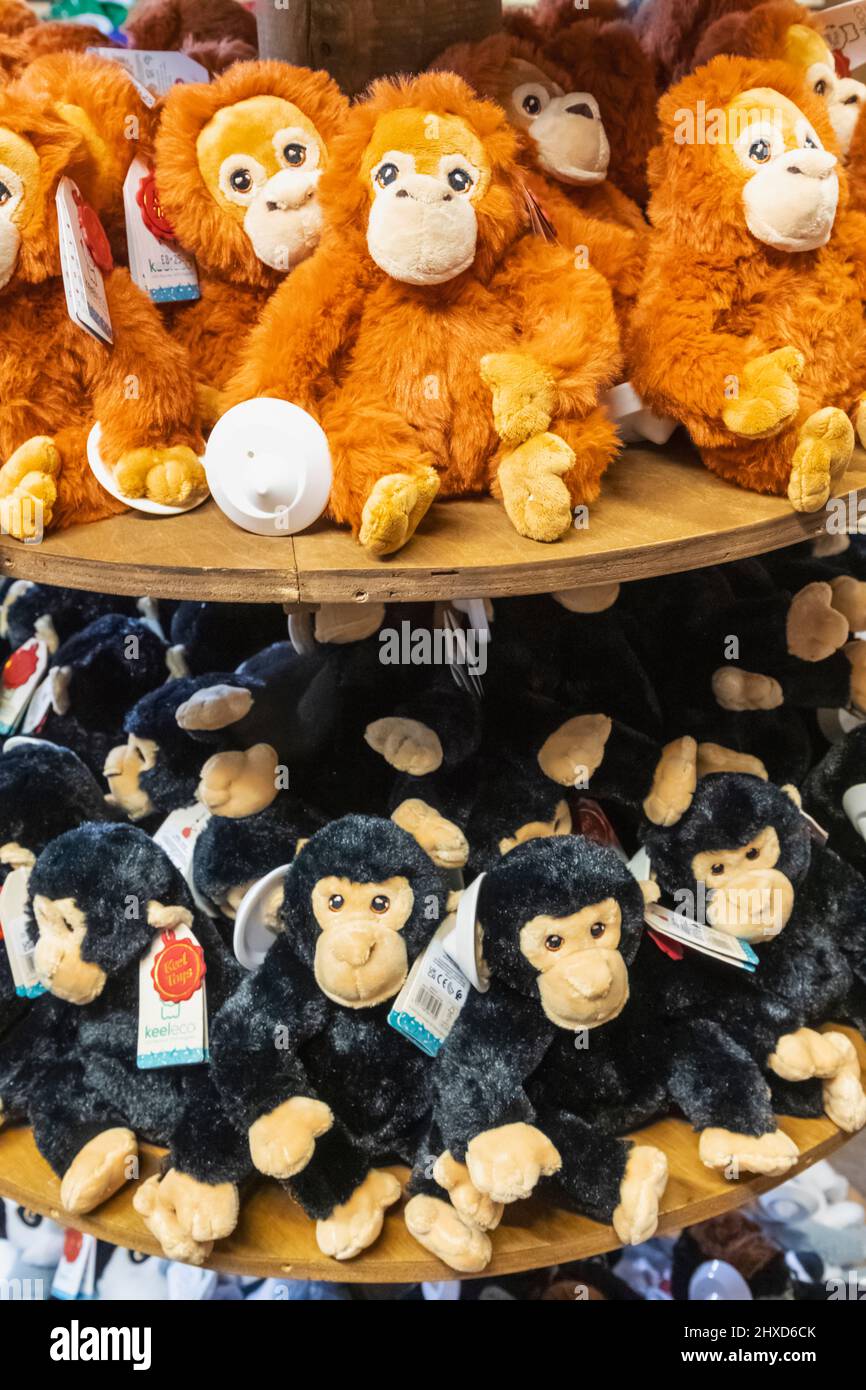 England, Dorset, Monkey World Attraction, Monkey Soft Toys for Sale in Souvenir Shop Stock Photo