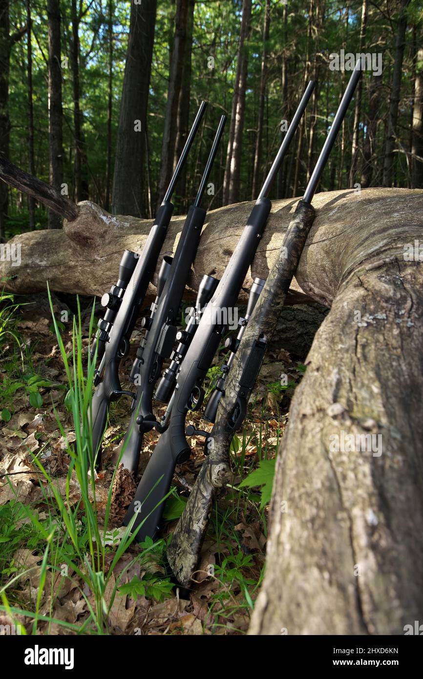 Four Hunting Rifles with Scope Optics Leaning against a fallen Tree ...