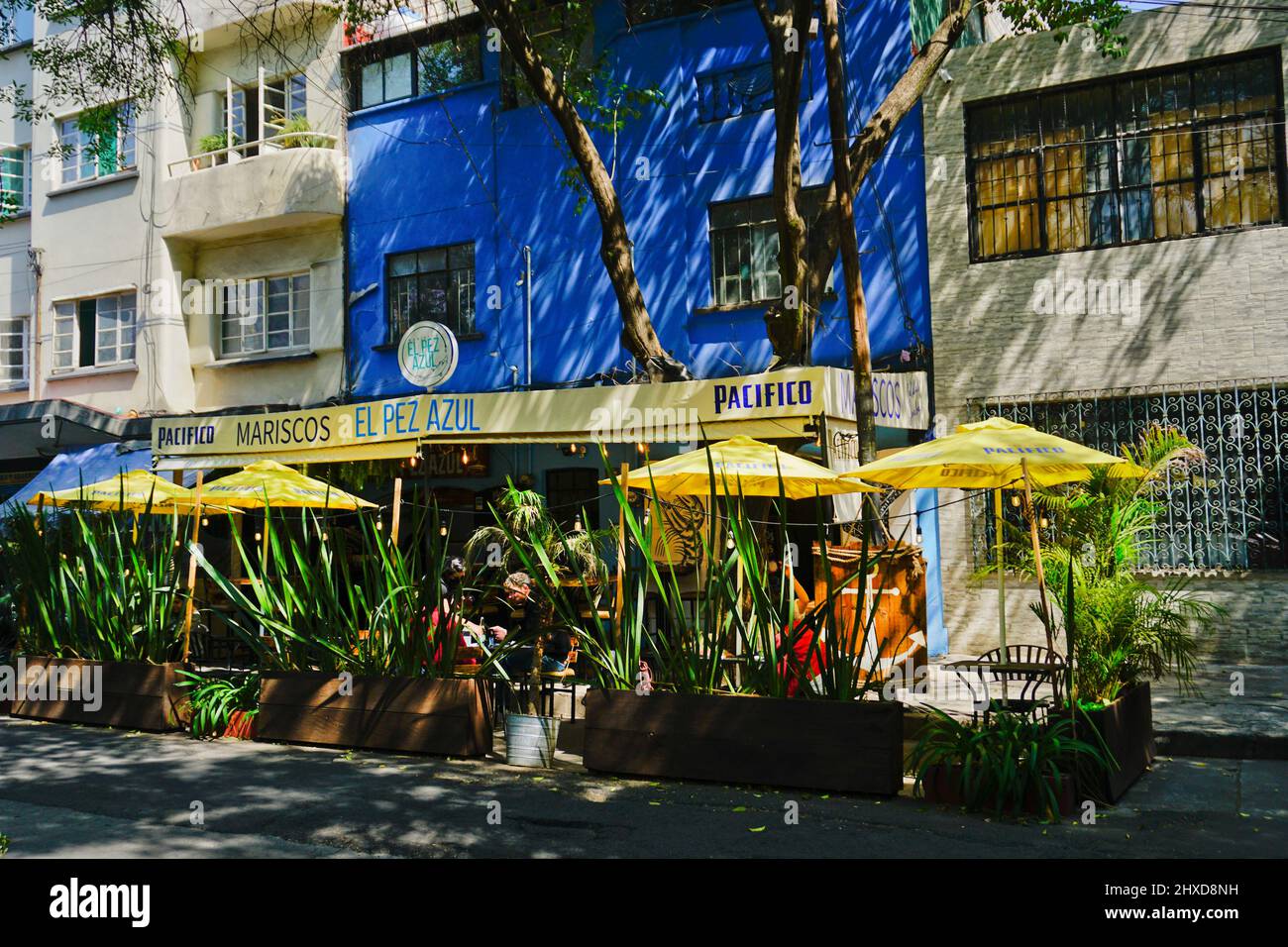 El Pez Azul seafood restaurant, Hipodromo neighborhood, in the Cuauhtemoc area, Ciudad de Mexico, CDMX Stock Photo