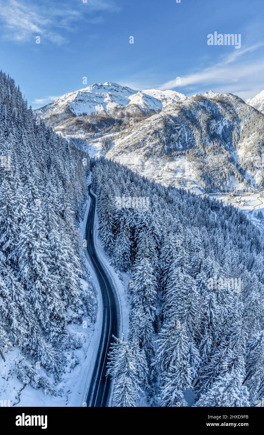 Europe, Italy, Veneto, province of Belluno, Dolomites, mountain road crossing a coniferous forest after a snowfall, view from above Stock Photo