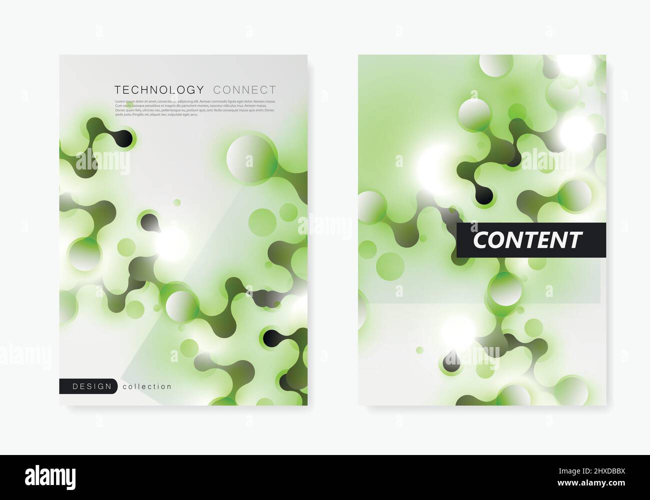 Vector template brochure with connected lines and dots Stock Vector