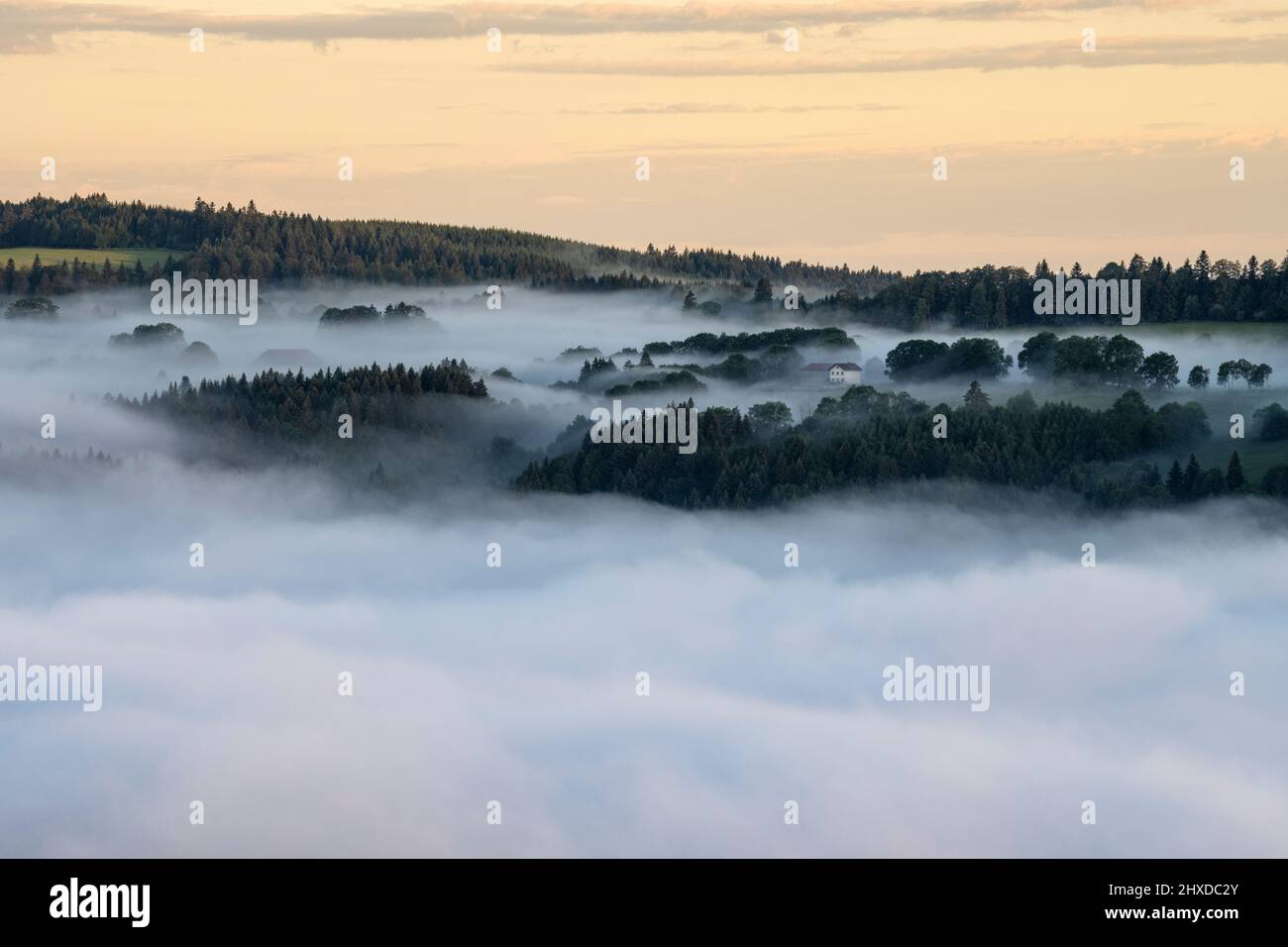 Europe, Switzerland, Canton Jura, Roches de Moron, sea of fog on the French border Stock Photo