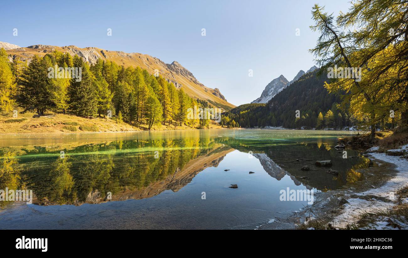 Golden autumn at lake palpuogna hi-res stock photography and images - Alamy