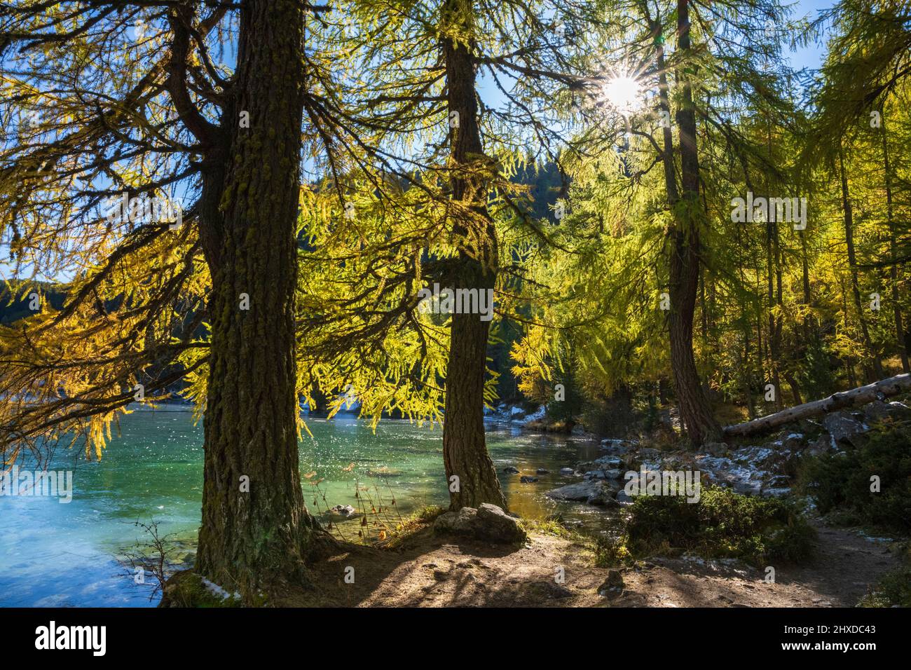 Europe, Switzerland, Canton Grisons, Engadine, Albula Pass, Golden Autumn at Lake Palpuogna Stock Photo