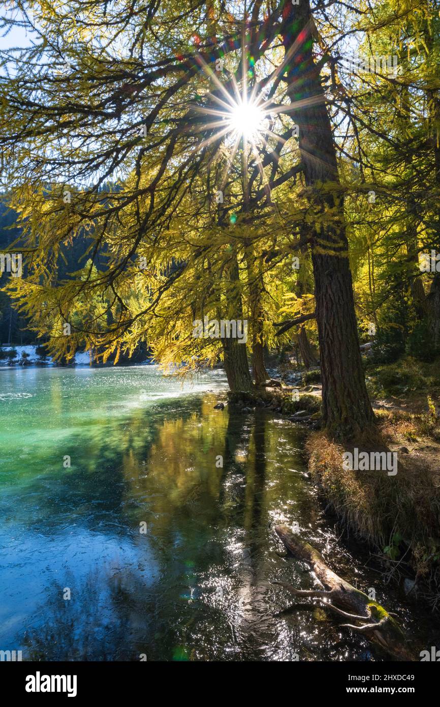 Europe, Switzerland, Canton Grisons, Engadine, Albula Pass, Golden Autumn at Lake Palpuogna Stock Photo