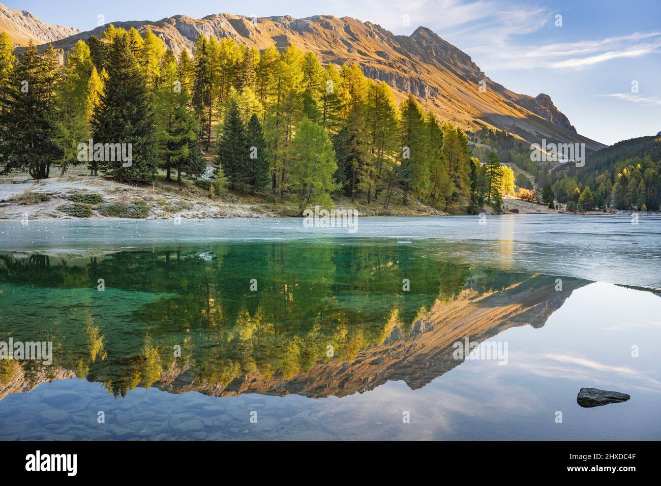 Europe, Switzerland, Canton Grisons, Engadine, Albula Pass, Golden Autumn at Lake Palpuogna Stock Photo