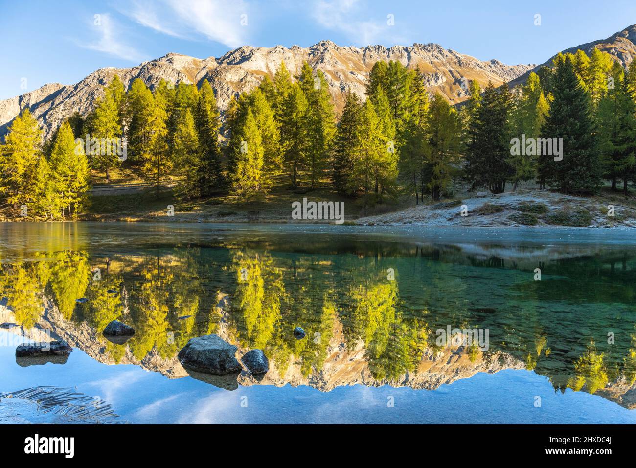 Europe, Switzerland, Canton Grisons, Engadine, Albula Pass, Golden Autumn at Lake Palpuogna Stock Photo