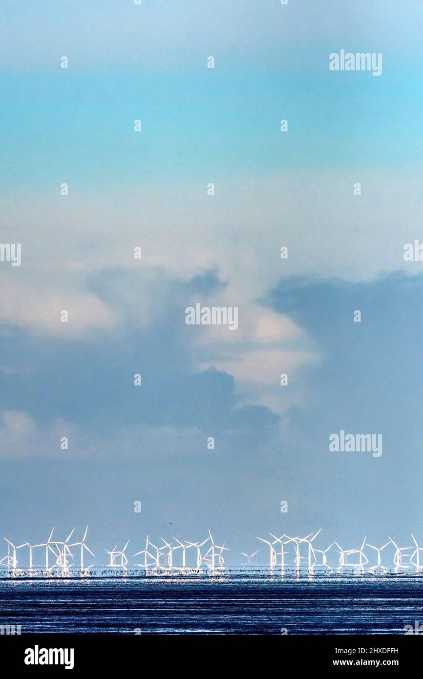 The Lynn and Inner Dowsing wind farm at the mouth of the Wash.  Seen from Norfolk coast. Stock Photo