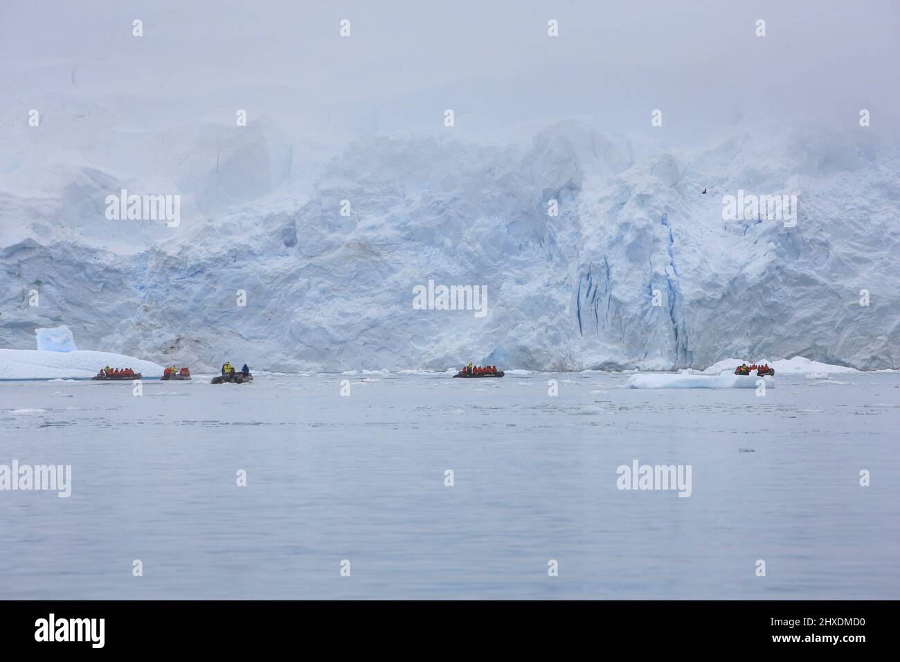 Six zodiac boats (including photographer's) from Le Boreal cruise ship are exploring Skontorp Cove near Brown Station in the Antarctic Peninsula. Stock Photo