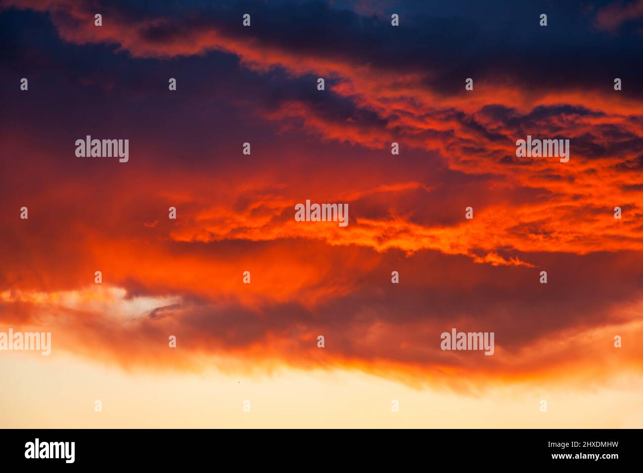 Colorful world of nature hi-res stock photography and images - Alamy