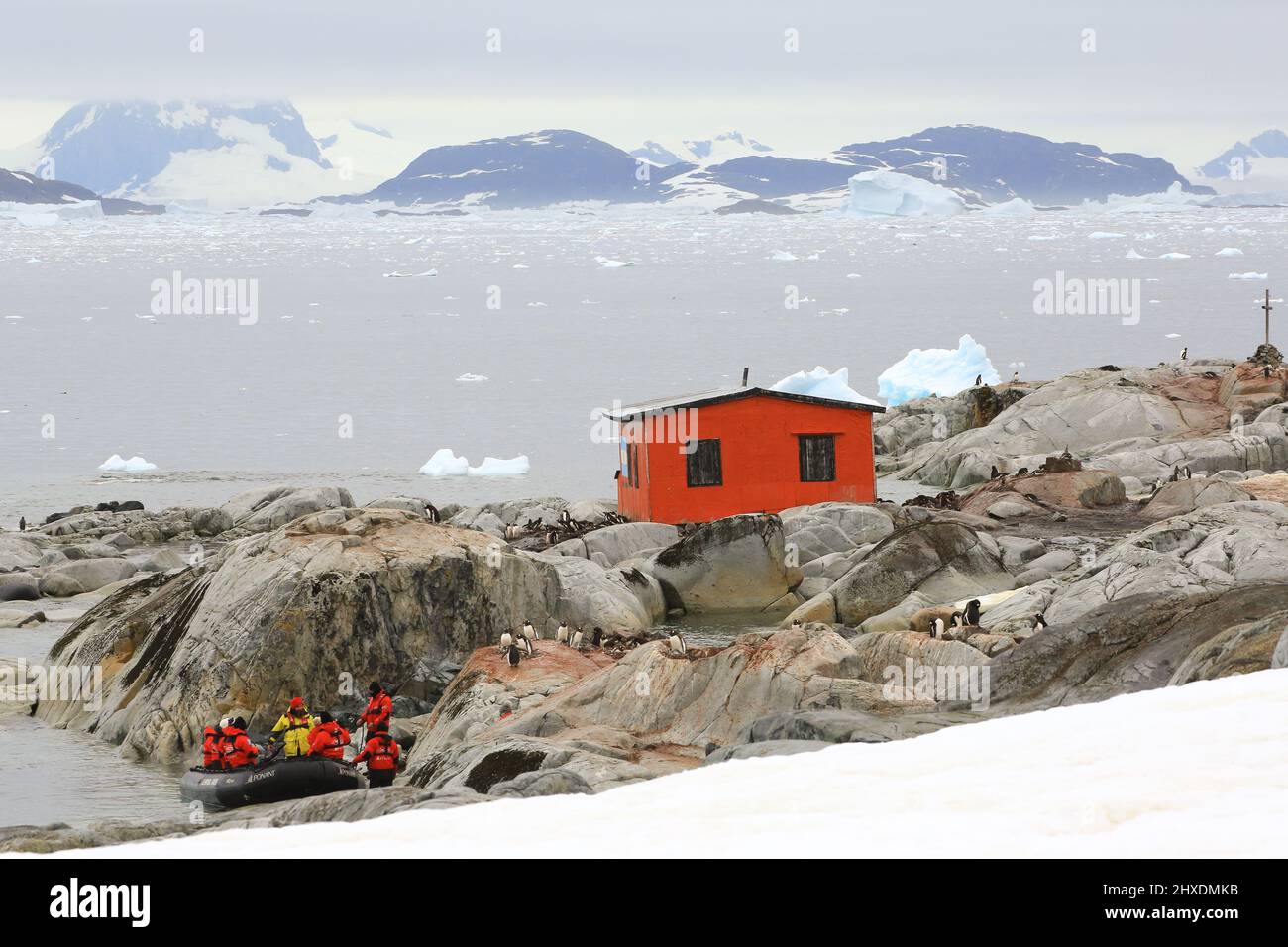 Passengers from Le Boreal cruise ship are boarding a zodiac boat near a Gentoo penguin nesting colony on Petermann Island, Antarctic Peninsula. Stock Photo