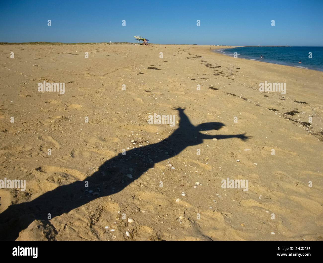 Beach, Shade, Silhouette, Sea, Sun shadow woman Stock Photo