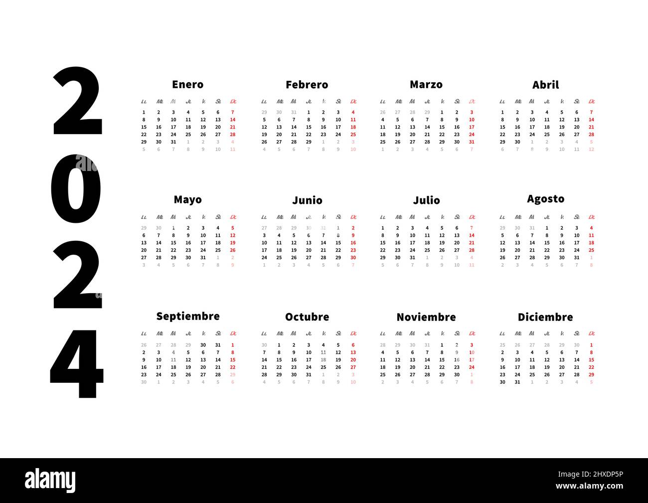 2024 year simple horizontal calendar in spanish language, typographic