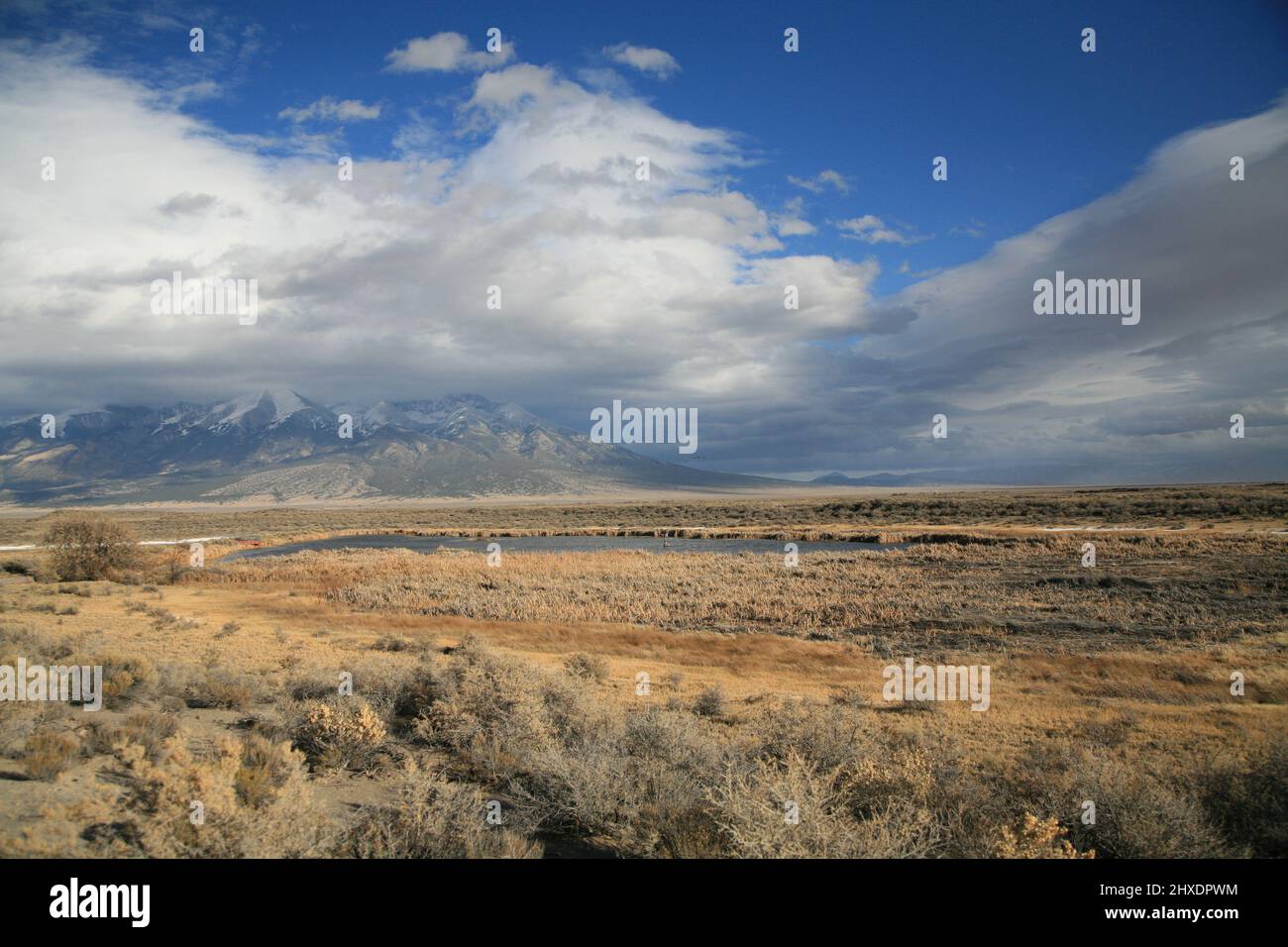 The Blanca Wetlands in the San Luis Valley Stock Photo - Alamy