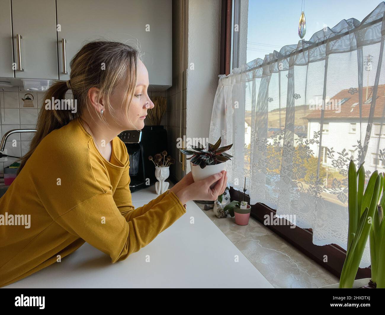 Woman is holding a home plant and studying it Stock Photo