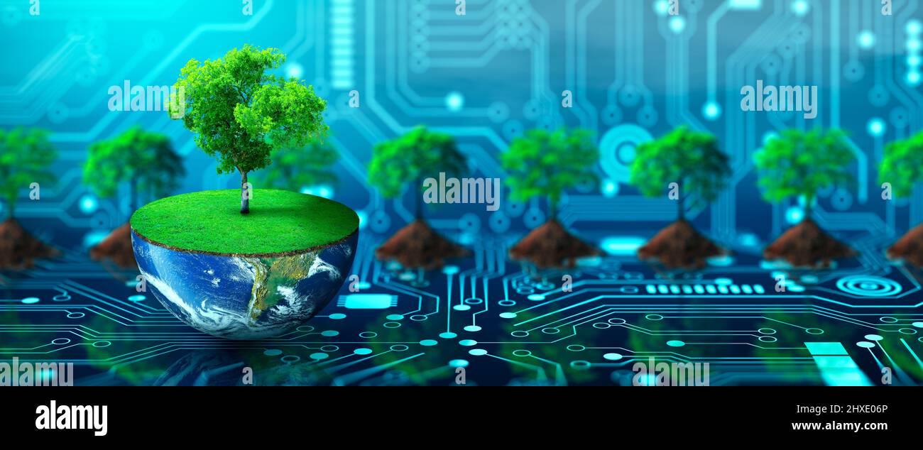 Tree growing on half of earth with green grass and butterfly. Digital and Technology Convergence. Green Computing, Green Technology, Green IT, csr. Stock Photo