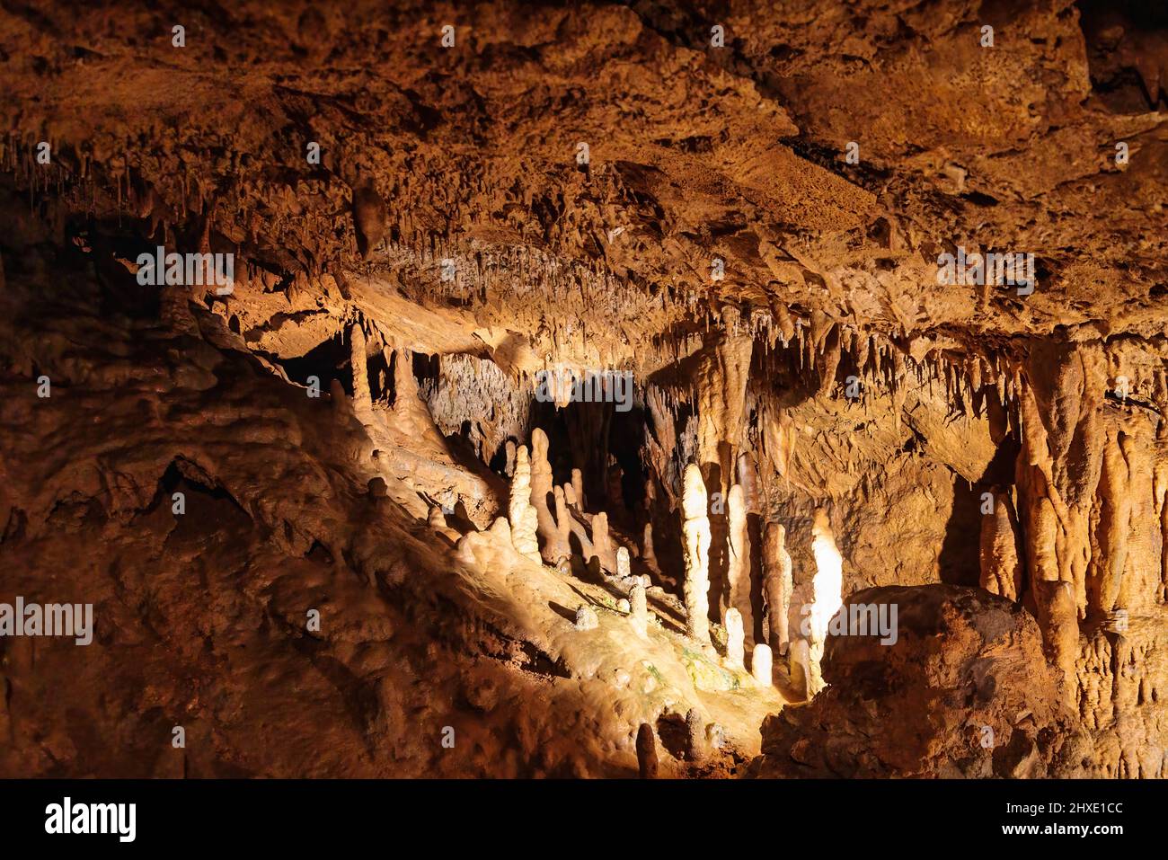 Florida limestone cavern hi-res stock photography and images - Alamy